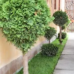 Vila Jun
