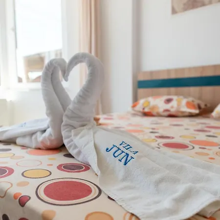 Vila Jun Guest house Eforie Nord