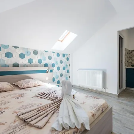 Vila Jun Guest house *